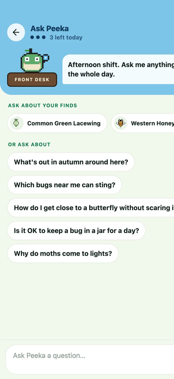 App screen: Ask Peeka with suggested questions